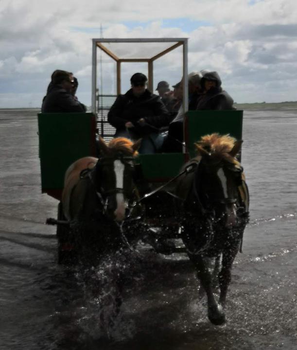 Hallig Südfall